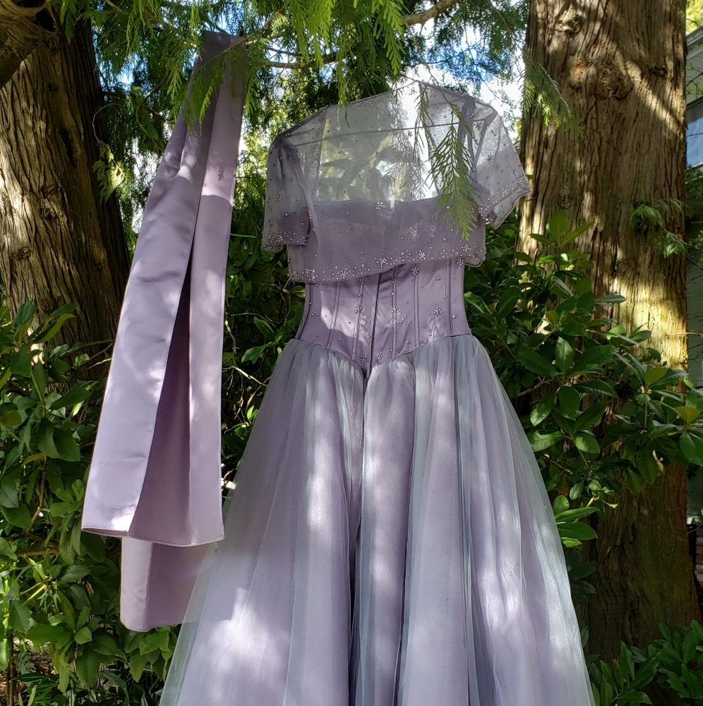 Prom / Grad Dress - Picture 12 of 16